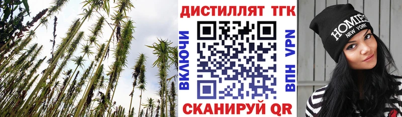 купить  сайты  Гусь-Хрустальный  ТГК вейп 