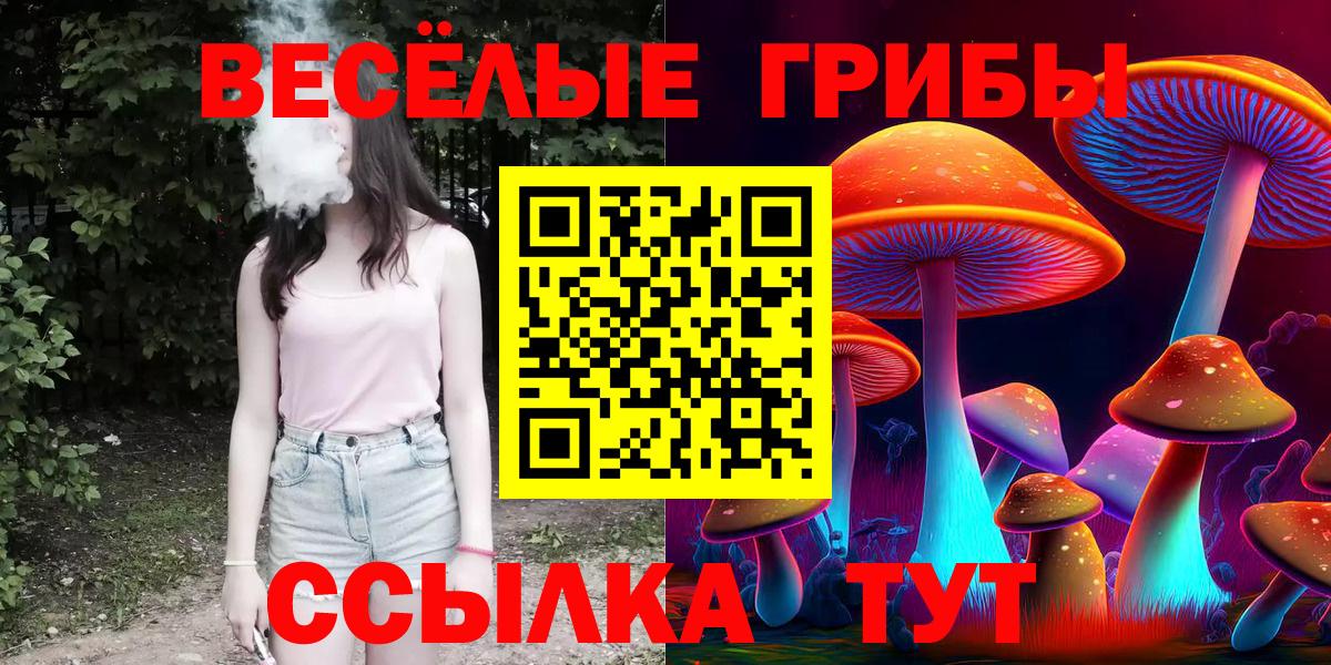 Галлюциногенные грибы ЛСД  Галлюциногенные грибы ЛСД  Вход с VPN  Гусь-Хрустальный 